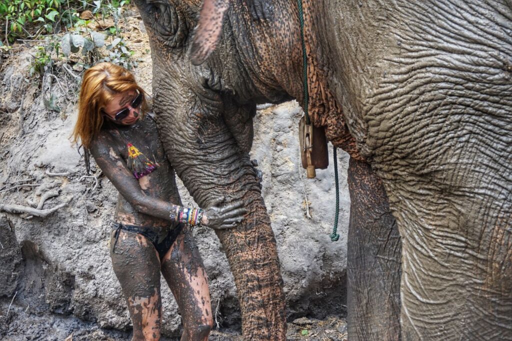 Cine ar putea refuza o baie binefăcătoare cu nămol alături de elefanți? (Chiang Mai, Thailanda)